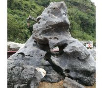 太湖石(假山)產(chǎn)品庫(kù)——價(jià)格、圖片與廠家信息一覽